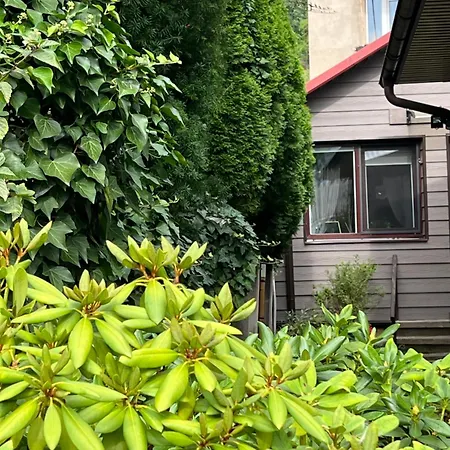 公寓 Center Hause 考纳斯