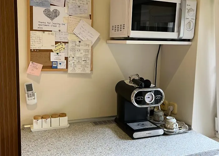 Center Hause アパート カウナス